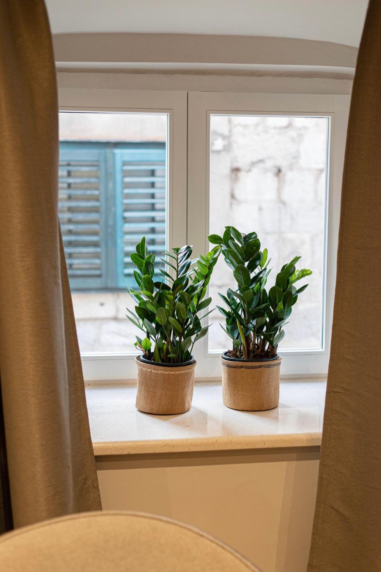 Velut Bokun Apartment Dubrovnik